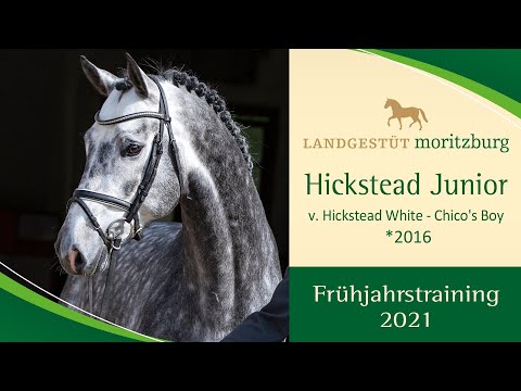HICKSTEAD JUNIOR v. Hickstead White - Chico's Boy im Training