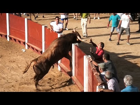 Solo Saltos de Toros Bravos 2023