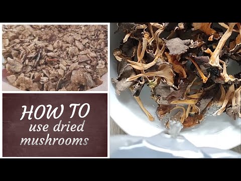 How to use dried mushrooms? Soaking #wildmushrooms #foraging