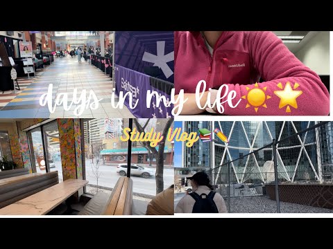 Life of an International Student🤓Study Vlog📚Commute to SAIT🚋