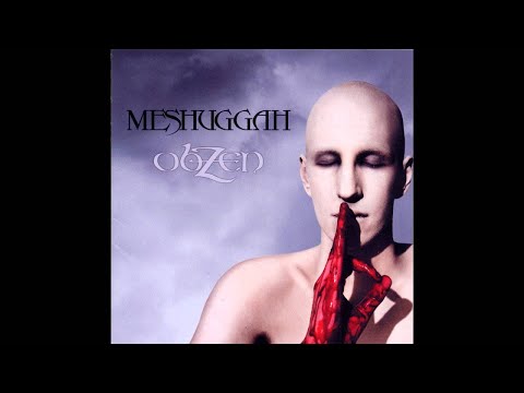 Meshuggah - Bleed (con voz) Backing Track