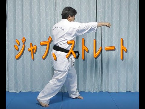 アニマル道場の通信空手　ジャブ、ストレート