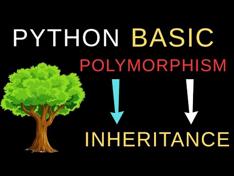 Lecture 64 Polymorphism With Inheritance In Python Python Beginner Course
