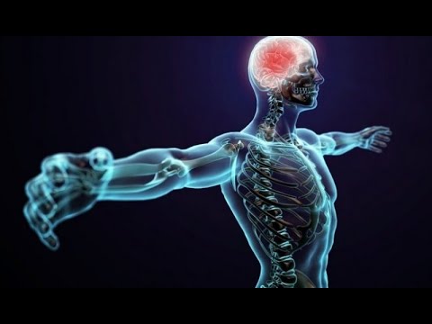 I pa të meta është Allahu Krijuesi më i mirë... A nuk po mendoni?