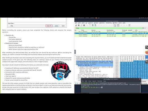 Advent of Cyber 2022 - Day 13 -  Simply having a wonderful pcap time