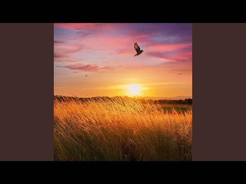 Slow (Ft Henjila) - Viaje con Calma