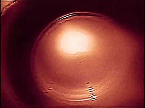 RAMIREZ - STACKIN ENDS FEAT SOULZAY [Visualizer]