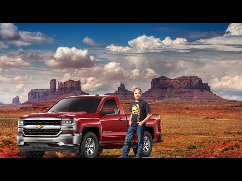 Darwin's Birthday 2022