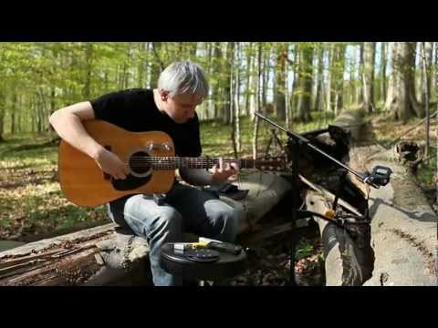 Guitar & Forest - Jan Žamboch - Guitar & Forest - duben