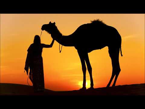 Dreamers Inc & Billy Esteban-Aladdin's wish (ThroDef remix)