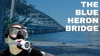 Diving the Blue Heron Bridge - A scuba diving road trip with Katie, The Drysuit Lady