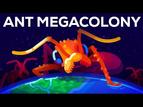 The Billion Ant Mega Colony and the Biggest War on Earth