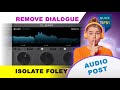 Remove Dialogue, Isolate Foley, Create an M&E for film using Supertone Clear AI Audio Plugin