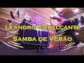 Samba de Verão Roberto Menescal