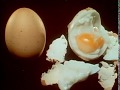 Classic Sesame Street Opened Egg