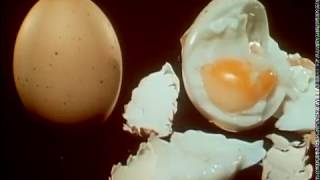 Classic Sesame Street - Opened Egg
