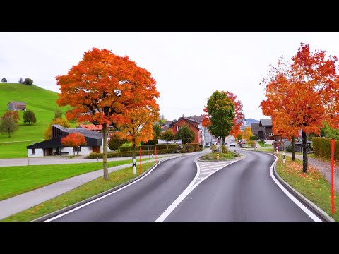 🍂 Golden Autumn in Appenzell Switzerland 🇨🇭 🍁 Autumn Vibes in the Swiss Countryside | #swiss