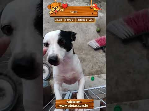 Vídeo de Luna