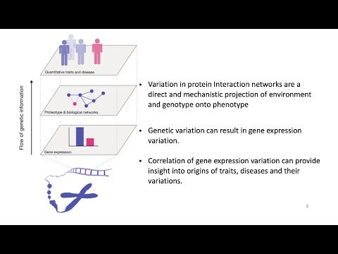 Single Molecule & Spatial Sequencing: Protein-Protein Interaction Networks