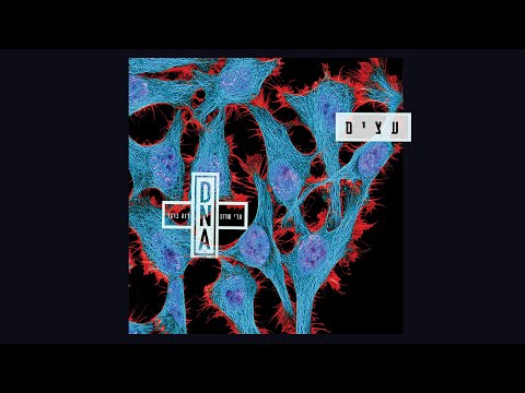 Video thumbnail for Etzim - עצים