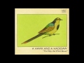 A Hawk and A Hacksaw - Fernando's Giampari
