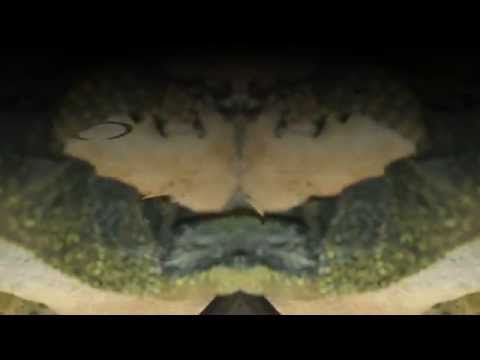 Rude-A X Kenya Kingz X Cheist LXV3 VUITTXN PRXD:  YOU DONT KNOW MY GVNG