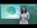 NEET Biology Skeletal System II Theory In Hindi By Misostudy