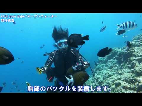 PADIダイビングライセンス講習 器材脱着 沖縄