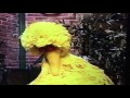 Big Bird Sleeping In Quiet Time