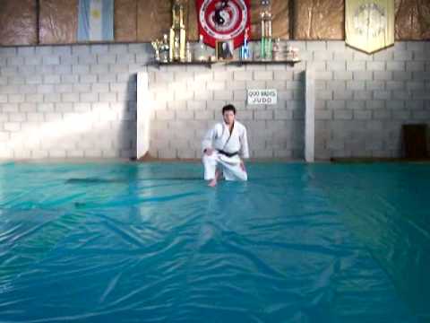 UKEMI NO KATA EDICION 2009 - ACTUALIZADO