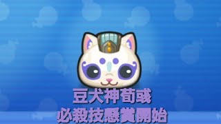 妖怪ウォッチぷにぷに・豆犬神荀彧の必殺懸賞をしました。