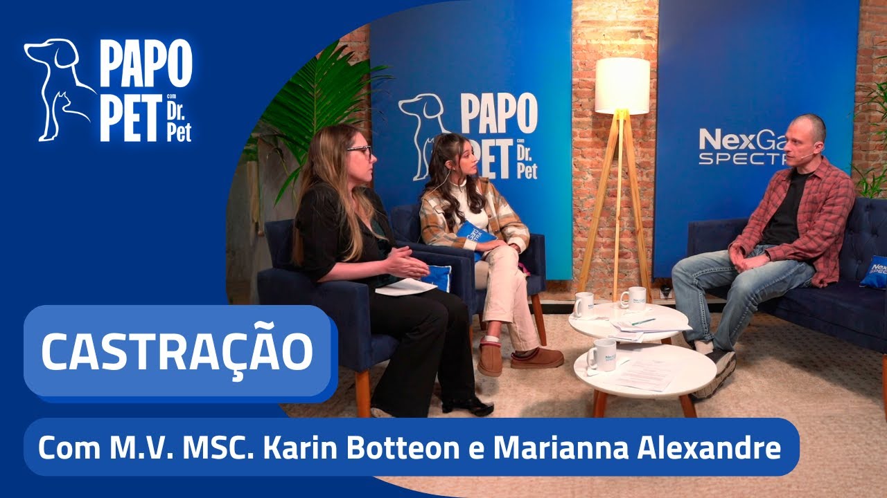 Castração: o que preciso saber? | PAPO PET #03