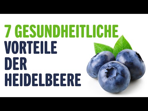 7 GESUNDHEITLICHE VORTEILE DER HEIDELBEERE | Vorteile von | Tipps für ein Gesundes