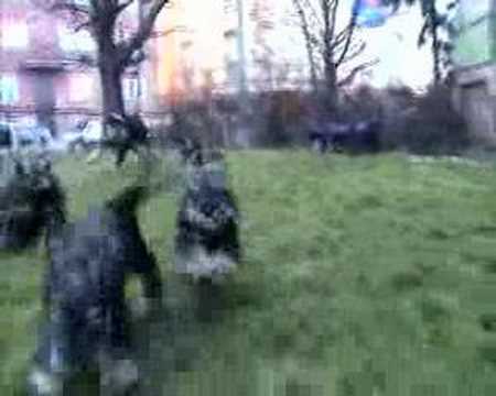 Matilda von Adamstuen