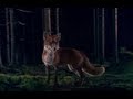 Ylvis - The Fox (What does the fox say?) Russian ...