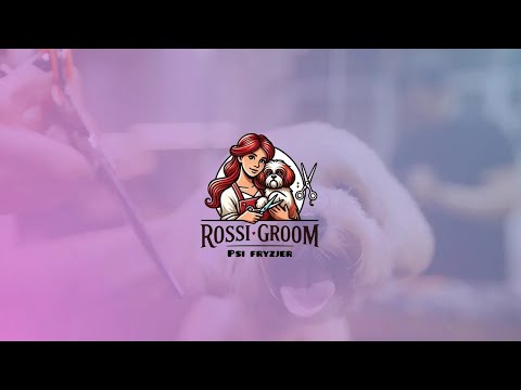 Zobacz filmy, Edyta Pytel Rossi Groom Psi Fryzjer, Leżajsk