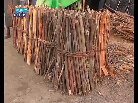 জ্বালানীর যোগান দিতে গাছ কেটে সাবাড় করছে রোহিঙ্গা উদ্বাস্তুরা