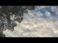 Benga - Emotions (2008)
