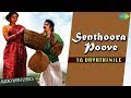 Senthoora Poove Lyrical 16 Vayadhinile Sridevi Bharathiraja Movies Ilaiyaraaja Hits