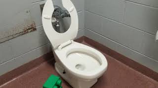 preview picture of video 'Preschool toilet humor.'
