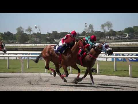 230129 c02 Hcap Segade/ OLISE (BRZ)