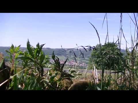 Durch die Lange Rhön