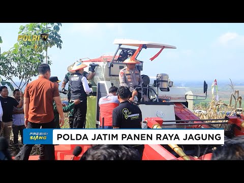POLDA JATIM DAN FORKOPIMDA PANEN RAYA JAGUNG KUARTAL II DUKUNG SWASEMBADA PANGAN