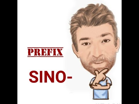 English Tutor Nick P Prefix (27) Sino -