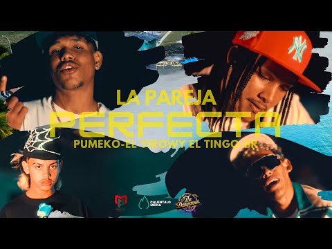 EL Yirow Y El Tingo and 2 more