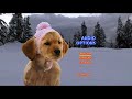 Snow Buddies 2008 DVD Menu Walkthrough