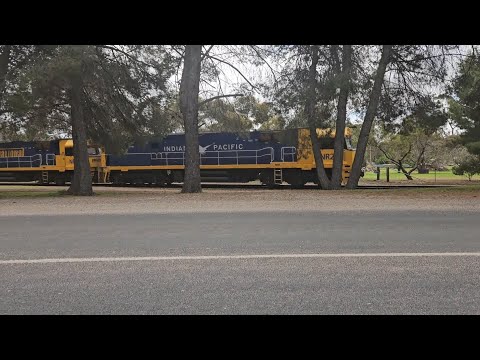 2PM5 PN up "Linfox Express #1" (NRs 26, 40 & 2), Perth to Melbourne, 1235 SA, 9/10/25, Bordertown SA