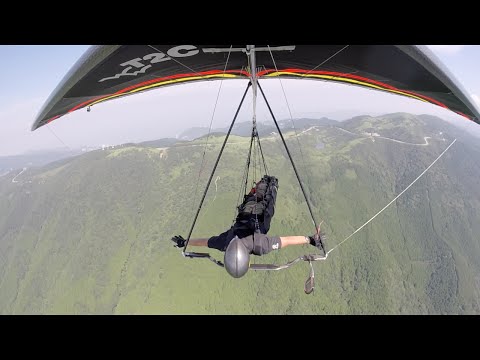 Like a bird　2015.07.26