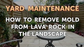 How to Remove Mold From Lava Rock in the Landscape