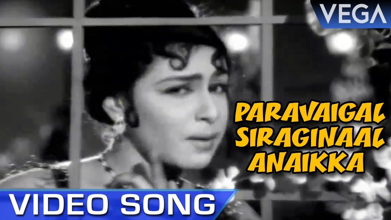 Paravaigal Siraginal Song Lyrics | Ninaivil Nindraval Tamil | L .R. Eswari
